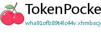 TokenPocket谷歌商店下载 - Google Play商店TokenPocket正版安装指南